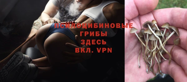 метадон Зеленокумск