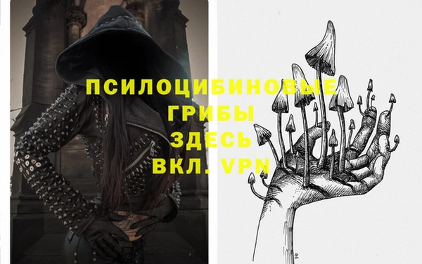герыч Зеленодольск
