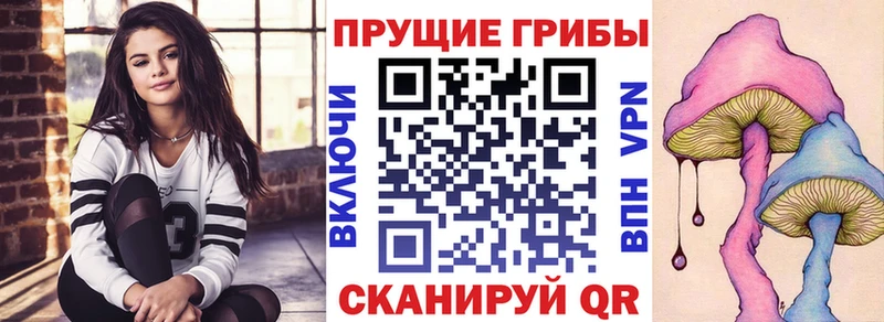 Купить  Новоалександровск  Галлюциногенные грибы MAGIC MUSHROOMS 