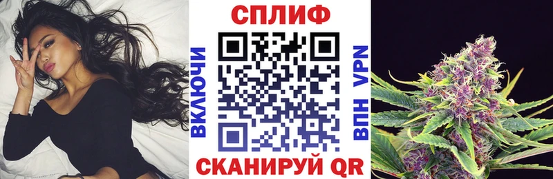 Конопля ГИДРОПОН Купить где Новоалександровск